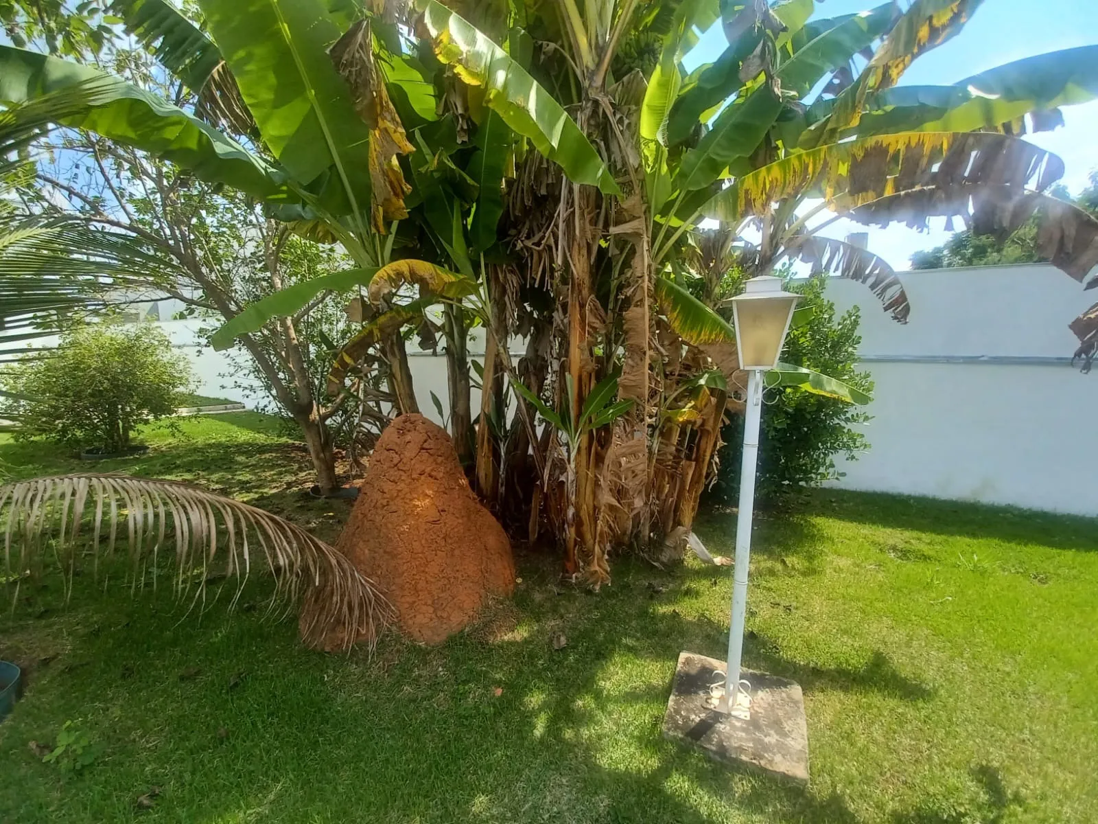 Imagem Magnífica casa térrea no Residencial Solar do Bosque!