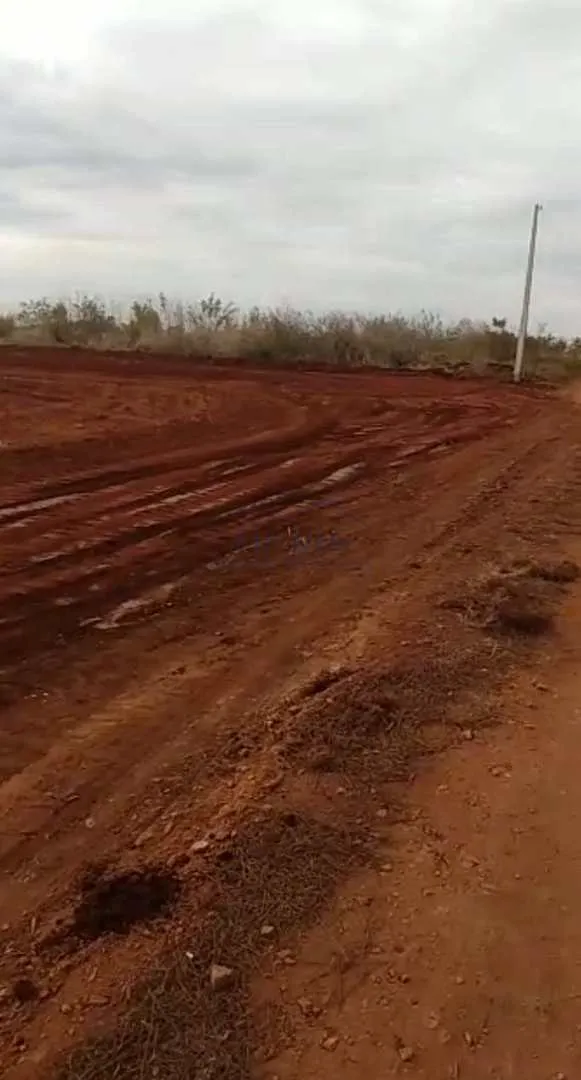Imagem Terreno Padrão