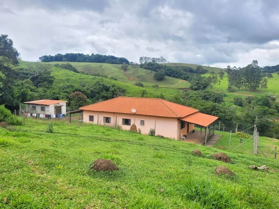 Foto do imóvel Terreno à Venda em Piedade dos Gerais / MG 15 hectares de área total