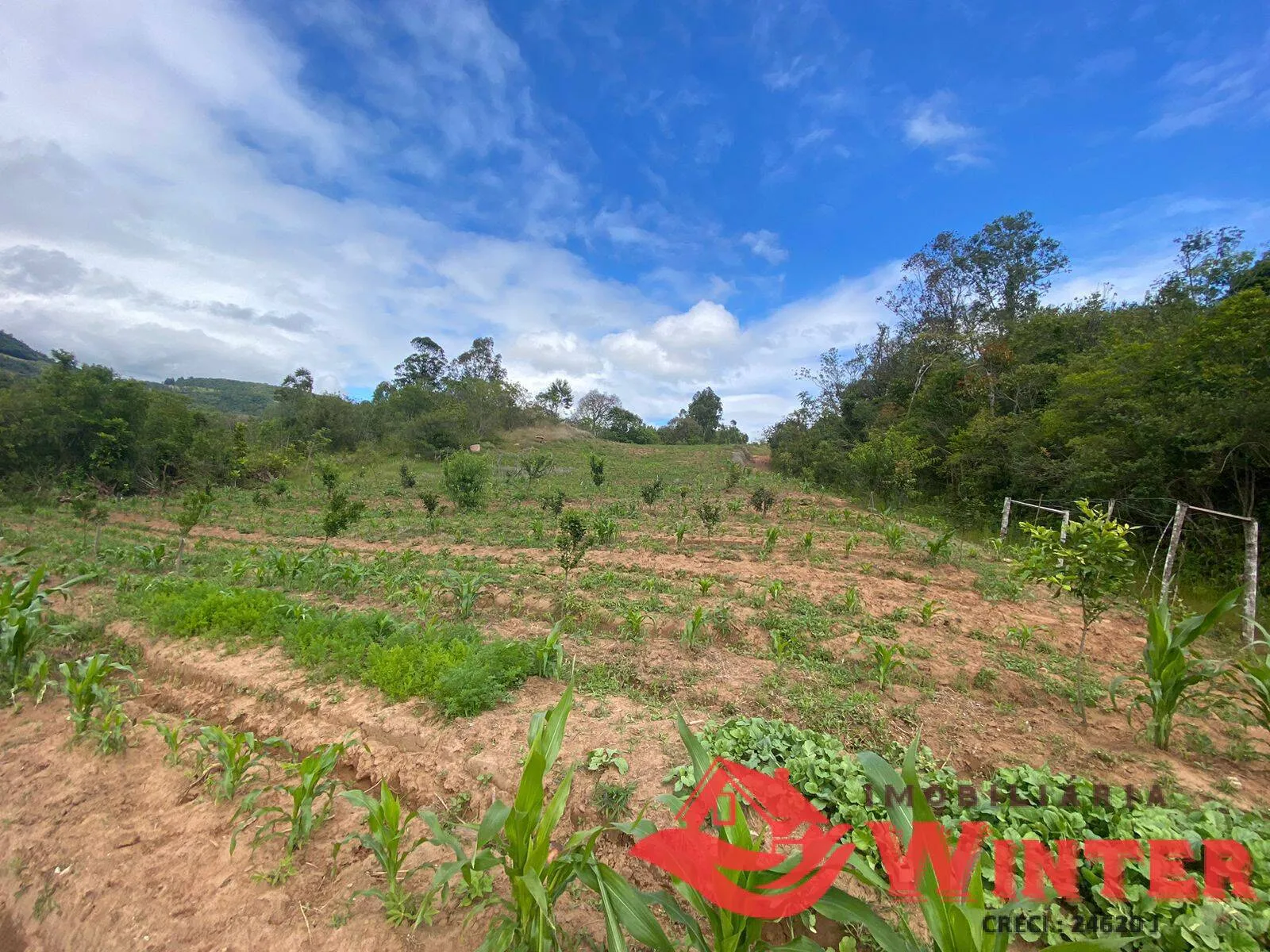 Imagem Área de terras com 6,3 hectares em São Roque, Feliz.
