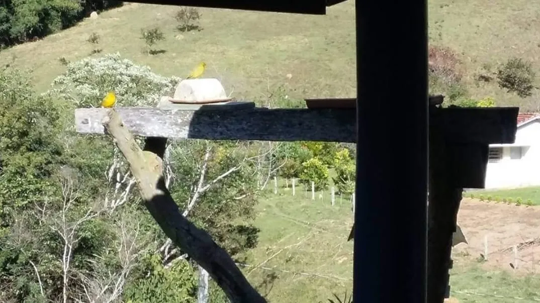 Imagem Chácara à venda 4 Quartos, 4 Suites, 1452000M², Zona Rural, Salesópolis - SP