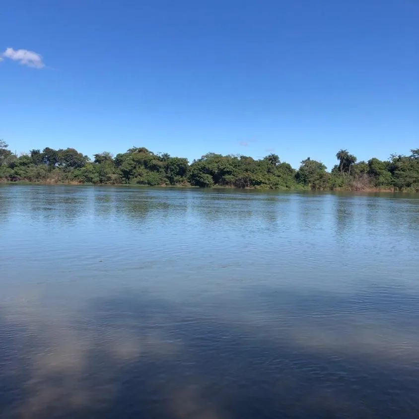 Foto do imóvel FAZENDA À VENDA - VÁRZEA DA PALMA (MG) 313 hectares de área total
