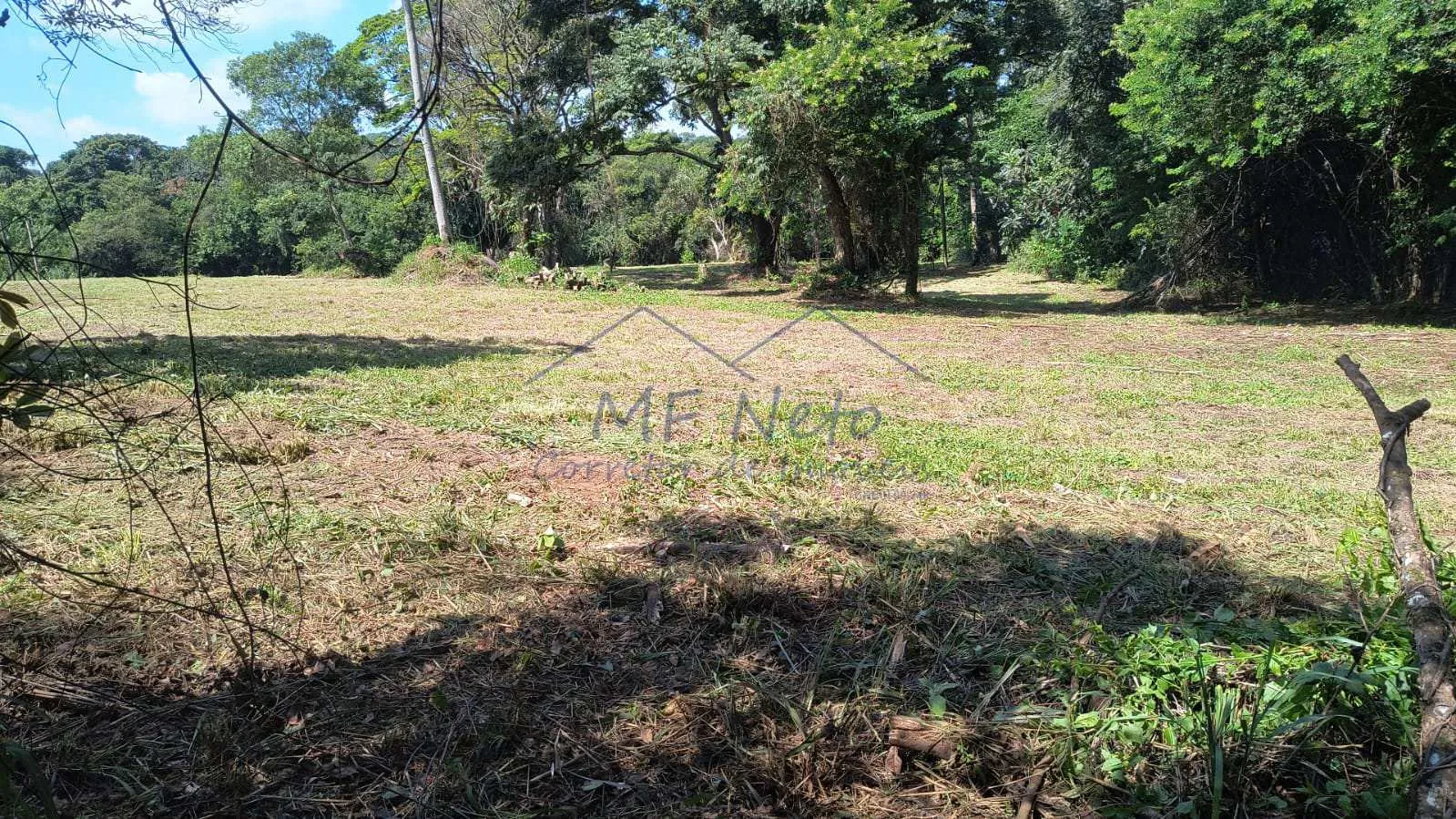 Imagem Terreno Padrão
