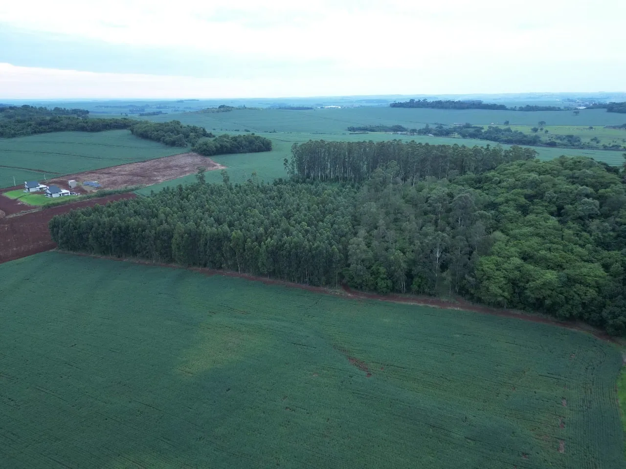 Foto do imóvel Chácara com 25.945 m² à venda em São Miguel do Iguaçu em CENTRO, São Miguel do Iguaçu - Parana