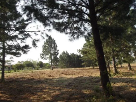 Imagem INVESTIDORES!!! Excelente área de 8 Hectares, frente RS040, Águas Claras
