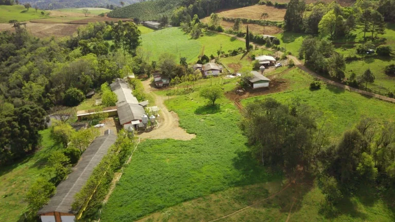 Imagem Granja para Venda em Concórdia, Rural