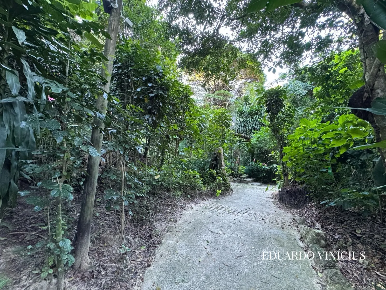 Imagem Vista Bela - Terreno com 560m² À Venda no Condomínio Vista Bela em Morro de São Paulo