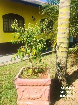 Imagem Belissima Chácara com poço artesiano, 3 dormitórios à venda, 2800 m² por R$ 1.250.000 - Chácara Maracajás - Salto/SP