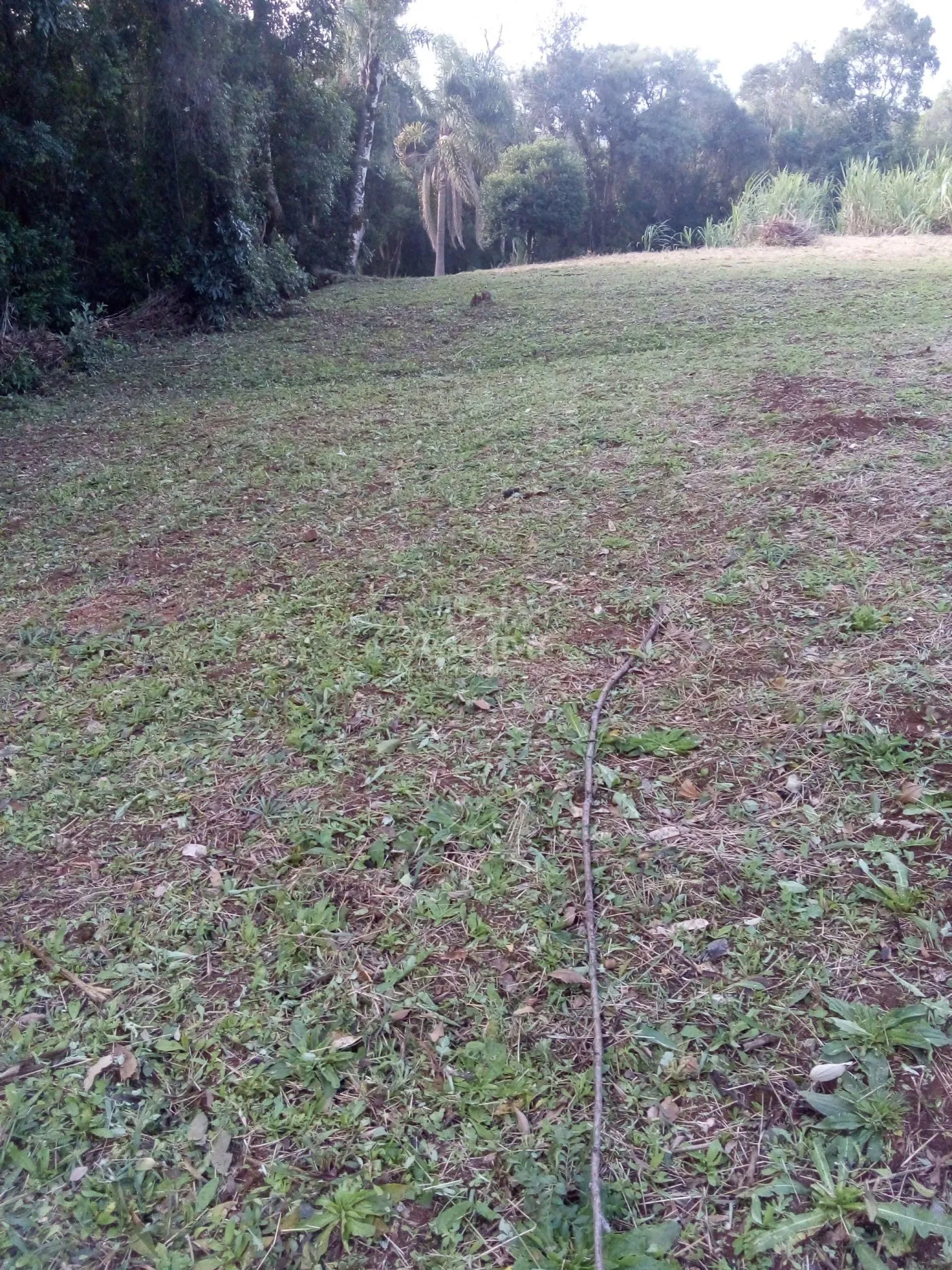Imagem Chácara para venda em Rolante (8.000m²)