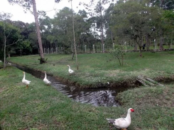 Imagem CHÁCARA URBANA