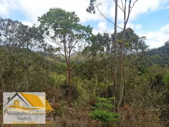 Imagem Vendo área rural com 20 mil mts², boa topografia com nascente.