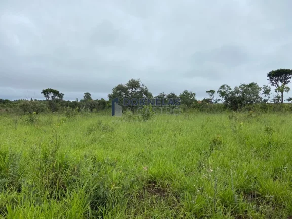 Imagem MUITO BARATO!! CHÁCARA COM 20.300M² A APENAS 3KM DA CACHOEIRA DO INDAIÁ FORMOSA GOIÁS