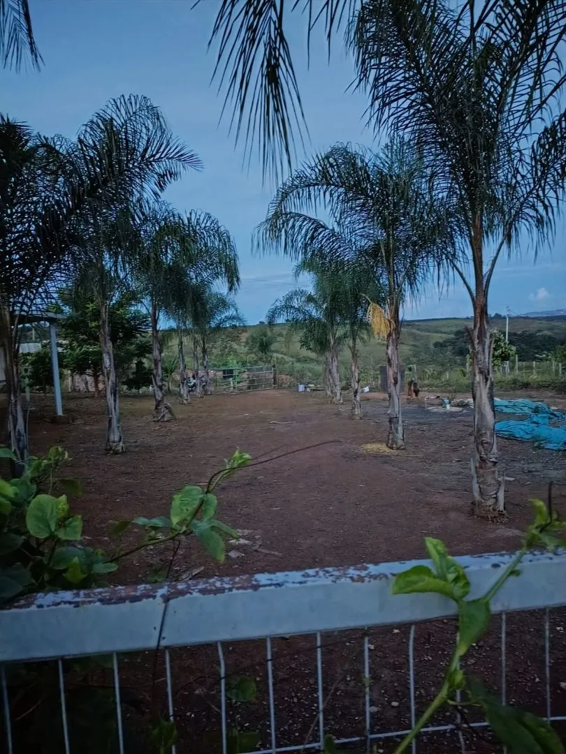 Imagem Chácara à venda, 20000 m² por R$ 430.000,00 - Área Rural de Patos de Minas - Patos de Minas/MG