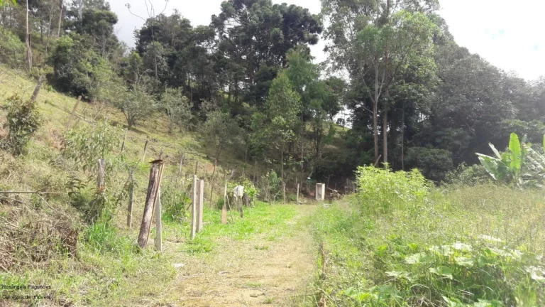Imagem SITIO RURAL em CALDAS - MG, LARANJEIRAS DE CALDAS