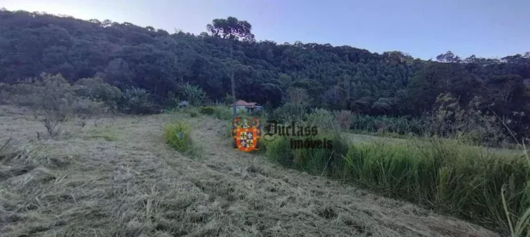 Imagem Sítio com 2 dormitórios à venda, 20000 m² por R$ 1.050.000,00 - Vargem - Vargem/SP