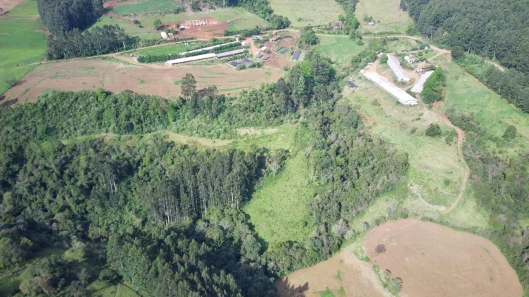 Imagem Granja para Venda em Lindóia do Sul, Interior