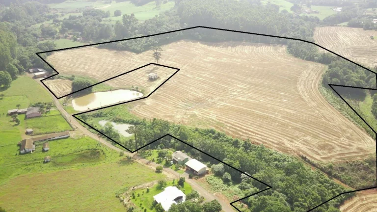 Foto do imóvel Área Agrícola para Venda em Concórdia, Tamanduá em Refosco