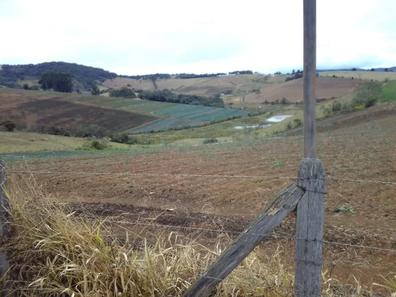 Imagem Sítio de 30 Alqueires em Toledo MG!