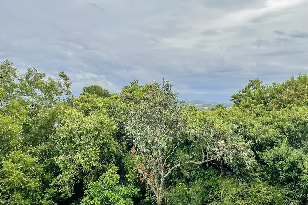 Imagem Casa em Aberta dos Morros