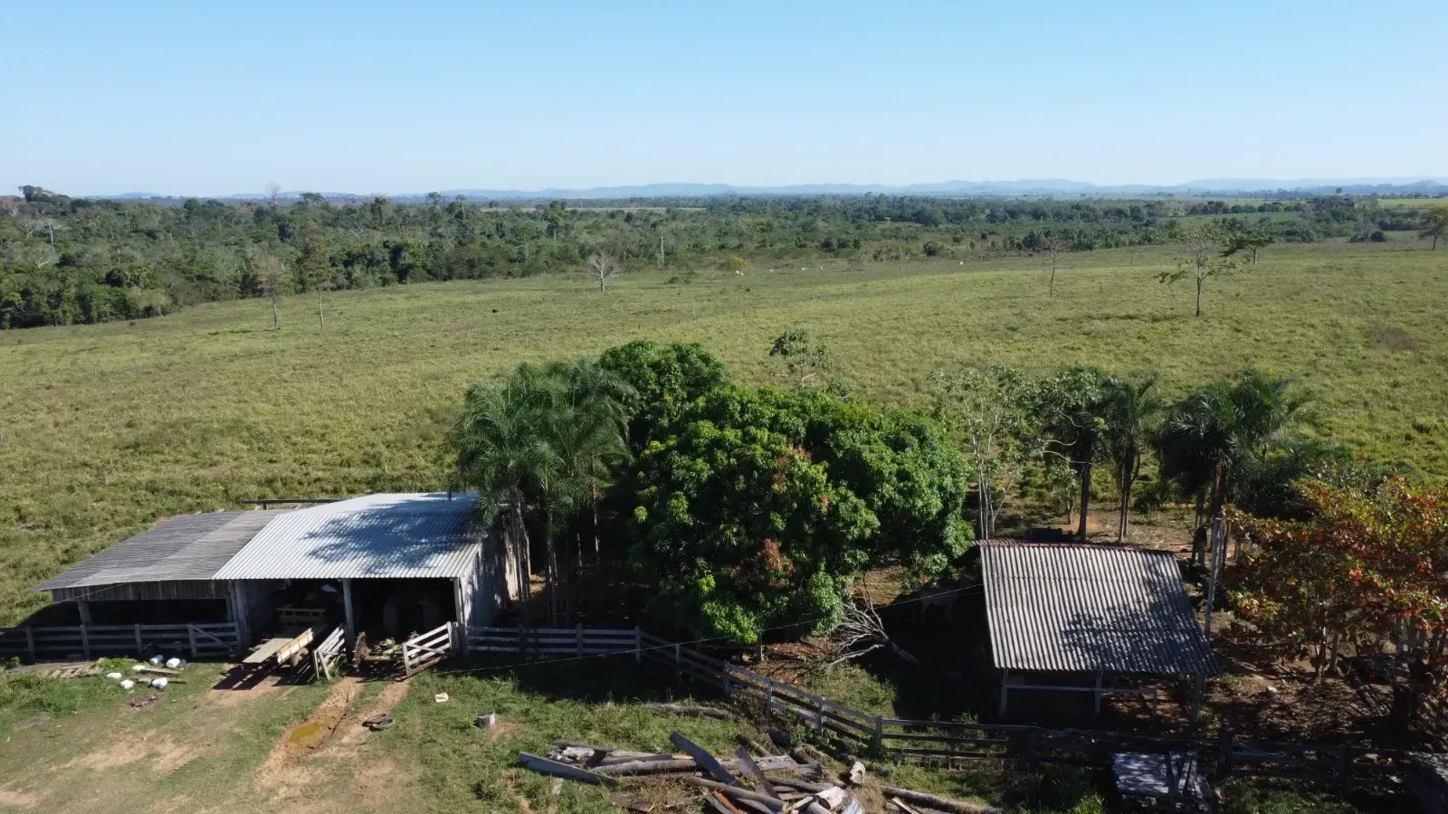Imagem Fazenda à Venda, 484 HA em São Félix do Xingu - São Félix do Xingu
