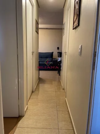 Imagem Apartamento à venda, Jardim Íris, com 3 quartos, 64m²