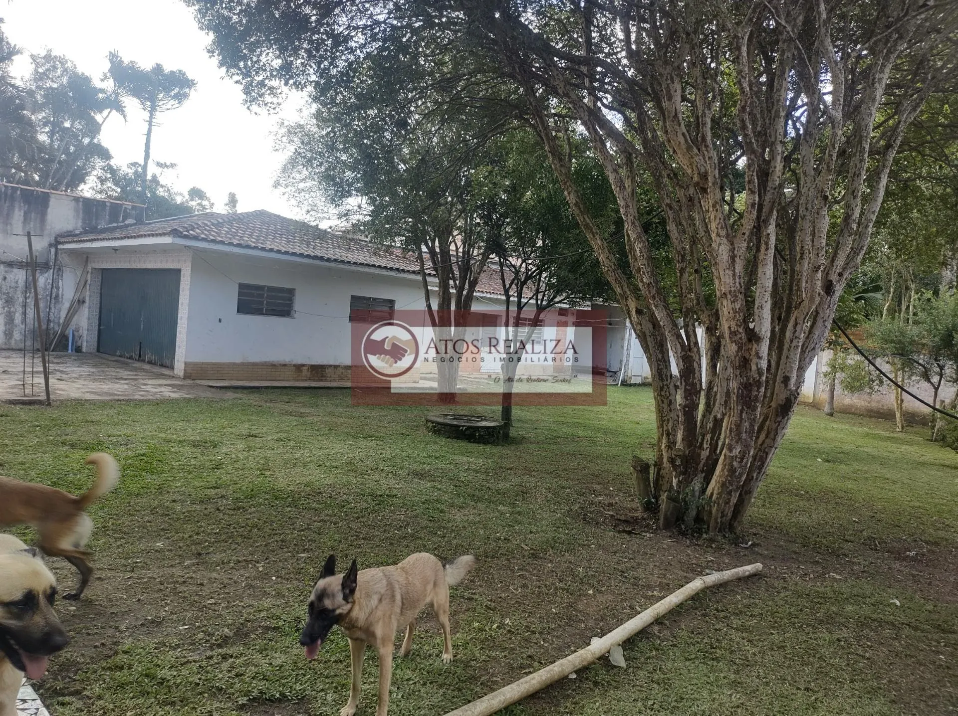 Imagem Assobradado para Locação em Vila Represa - 446m², 5 Banheiros
