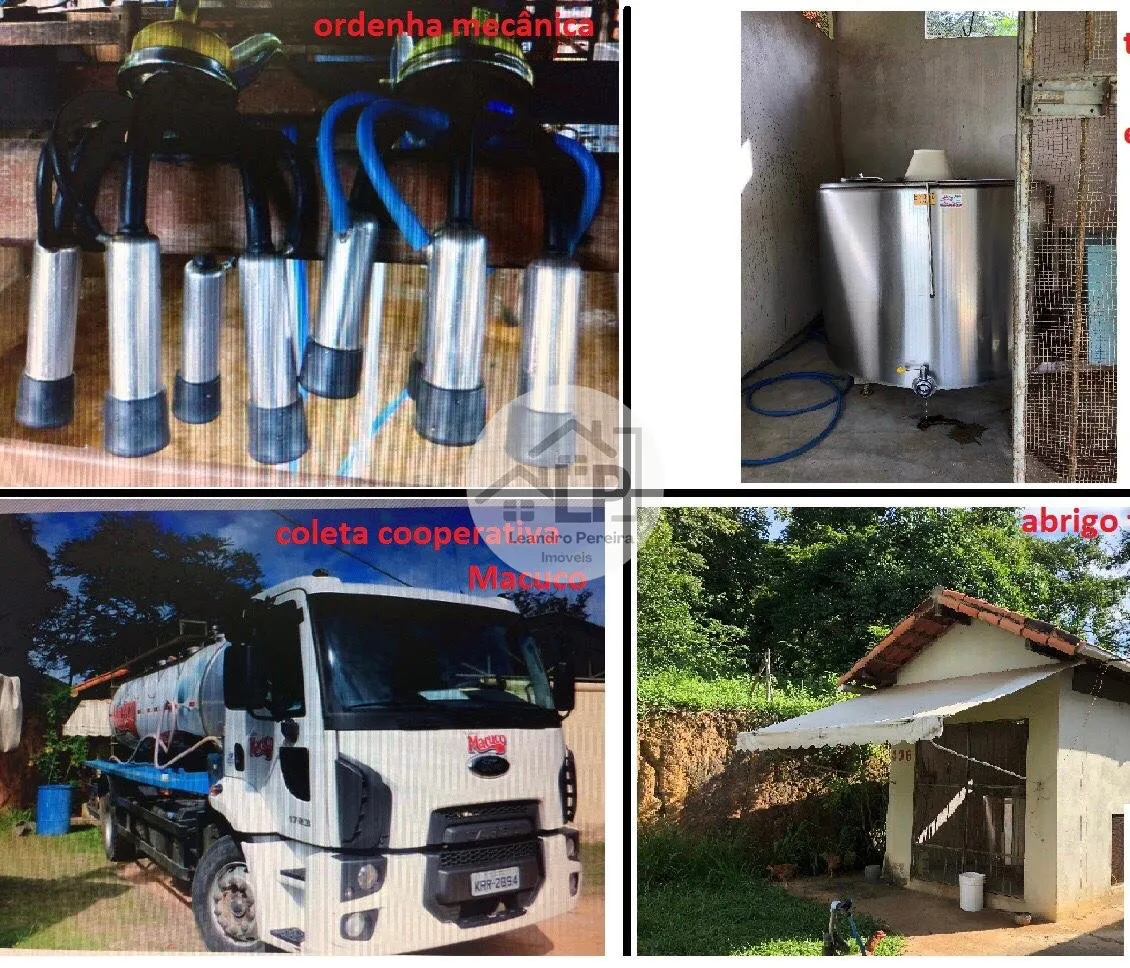 Imagem Fazenda/Sítios/Chácaras de 480000m² no bairro Carmo, em Carmo
