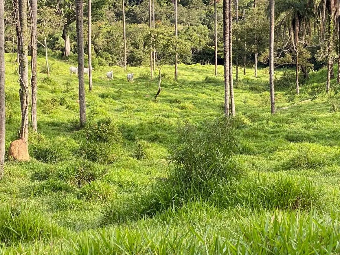 Imagem Excelente Terreno à Venda em Itaguara/MG: 19 Hectares com Fácil Acesso à BR-381