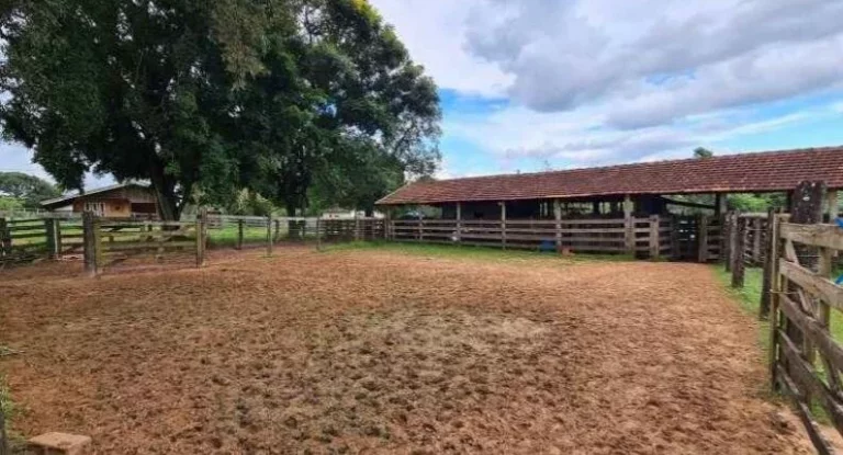 Imagem Fazenda a VENDA, 66 alqueires, Região Bauru