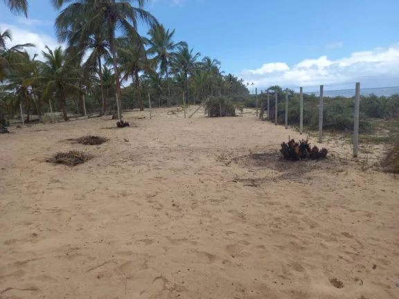 Imagem TERRENO FRENTE MAR - MOGIQUIÇABA