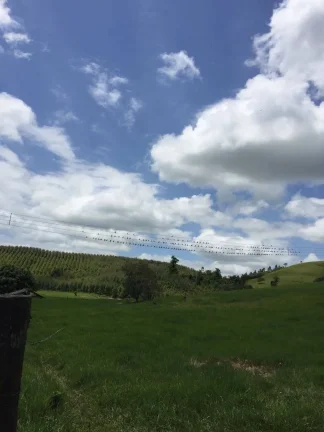 Imagem VENDO FAZENDA COM 30 ALQUEIRES EM SILVA JARDIM, AGUA POR GRAVIDADE