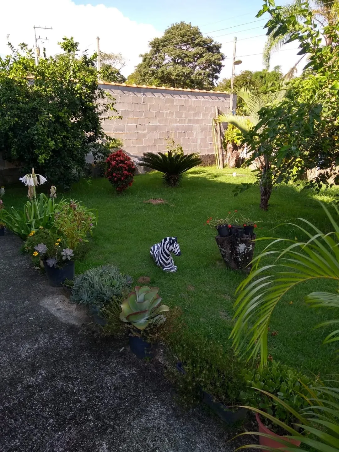 Imagem Chácara à venda 2 Quartos, 2 Suites, 3 Vagas, 1350M², Mandú, Pindamonhangaba - SP