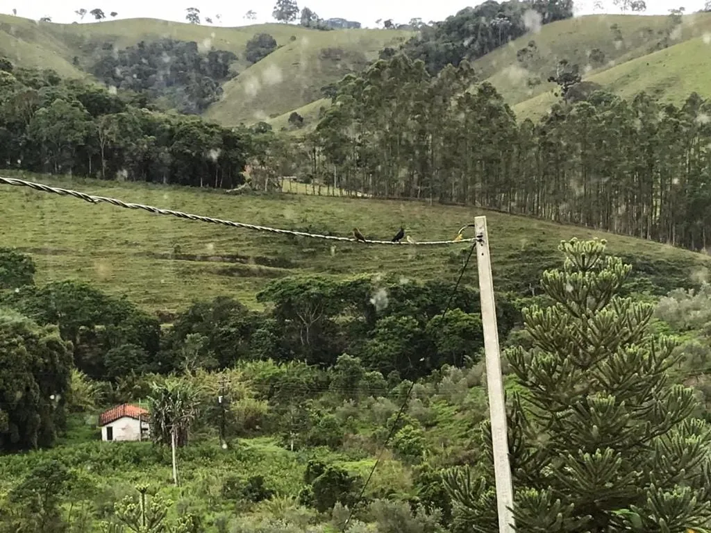 Imagem Chácara à venda Pinhal Novo, Lorena - SP