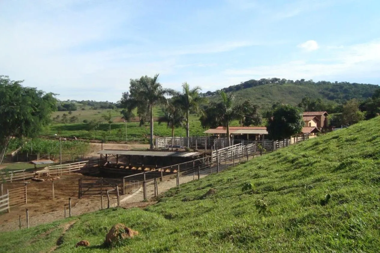 Imagem Vendo uma excelente fazendinha em Crucilândia/MG Área total de 57 hectares