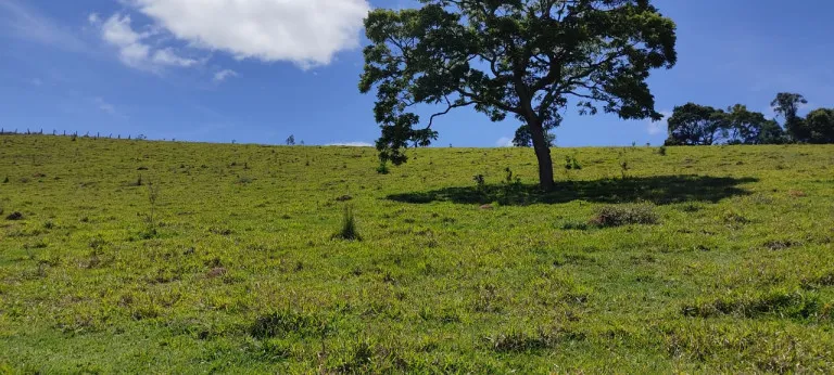 Terreno à Venda, 500 m² em moinho  - Nazaré Paulista
