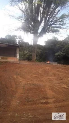 Imagem terreno vende