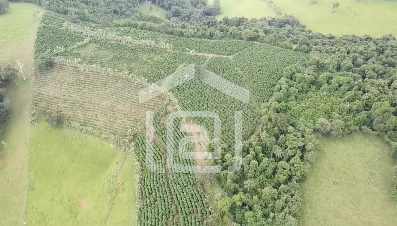 Imagem Sítio 5 m² à venda em Santana de Caldas, Caldas