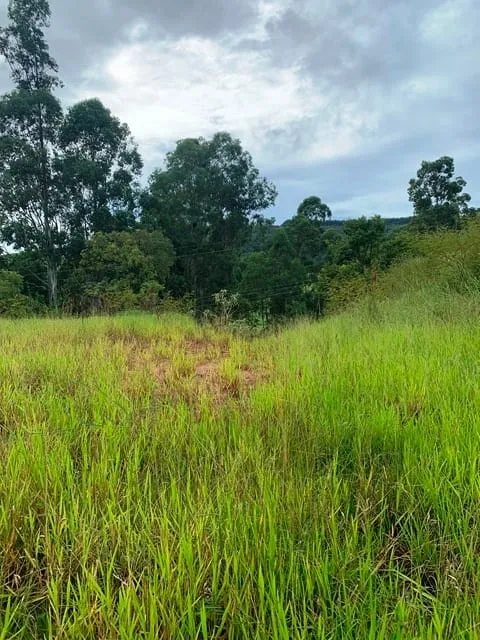 Imagem Chácara à venda 1666.67M², Goiabal, Pindamonhangaba - SP
