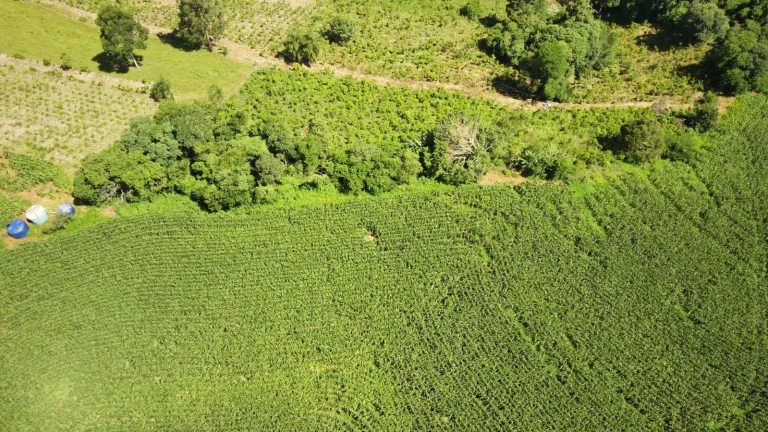 Imagem Área Agrícola para Venda em Ipumirim, Rural