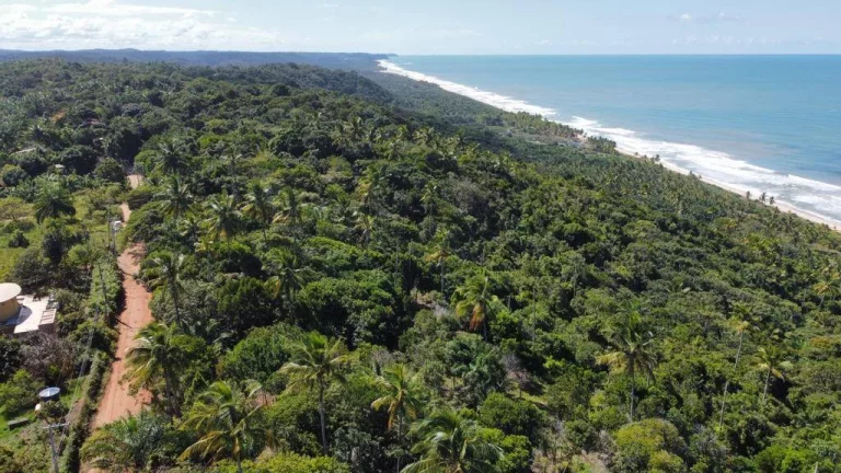 Paradisíaca Serra Grande