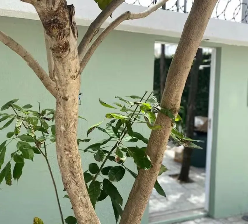 Imagem Casa à venda, 160 m² por R$ 649.996,00 - Ponta Negra - Natal/RN