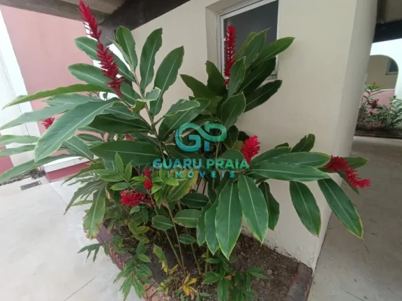 Imagem Apartamento 2 dormitorios ha 150m da praia