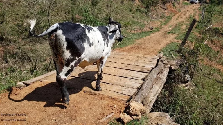 Imagem SITIO RURAL em BANDEIRA DO SUL - MG, Sitio Capituvas