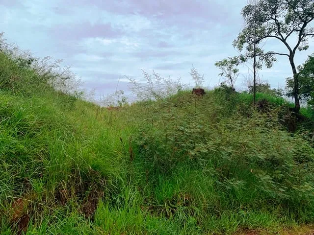 Foto do imóvel Chácara à venda 1666.67M², Goiabal, Pindamonhangaba - SP