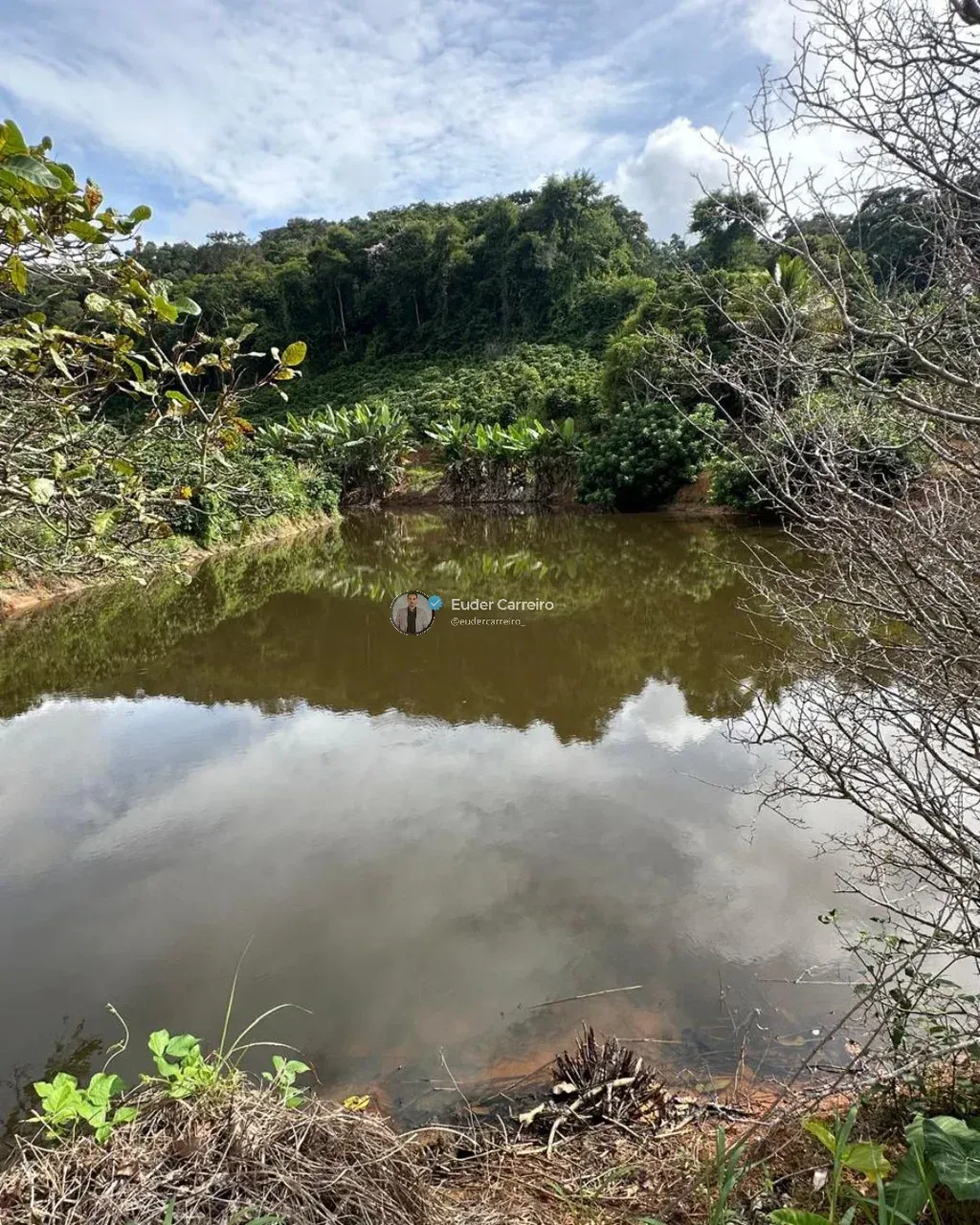 Imagem Imóvel
