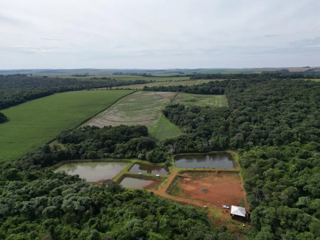 Imagem Chácara à venda em Cascavel, Centro - Casa de caseiro, Rio e Lago para pesca
