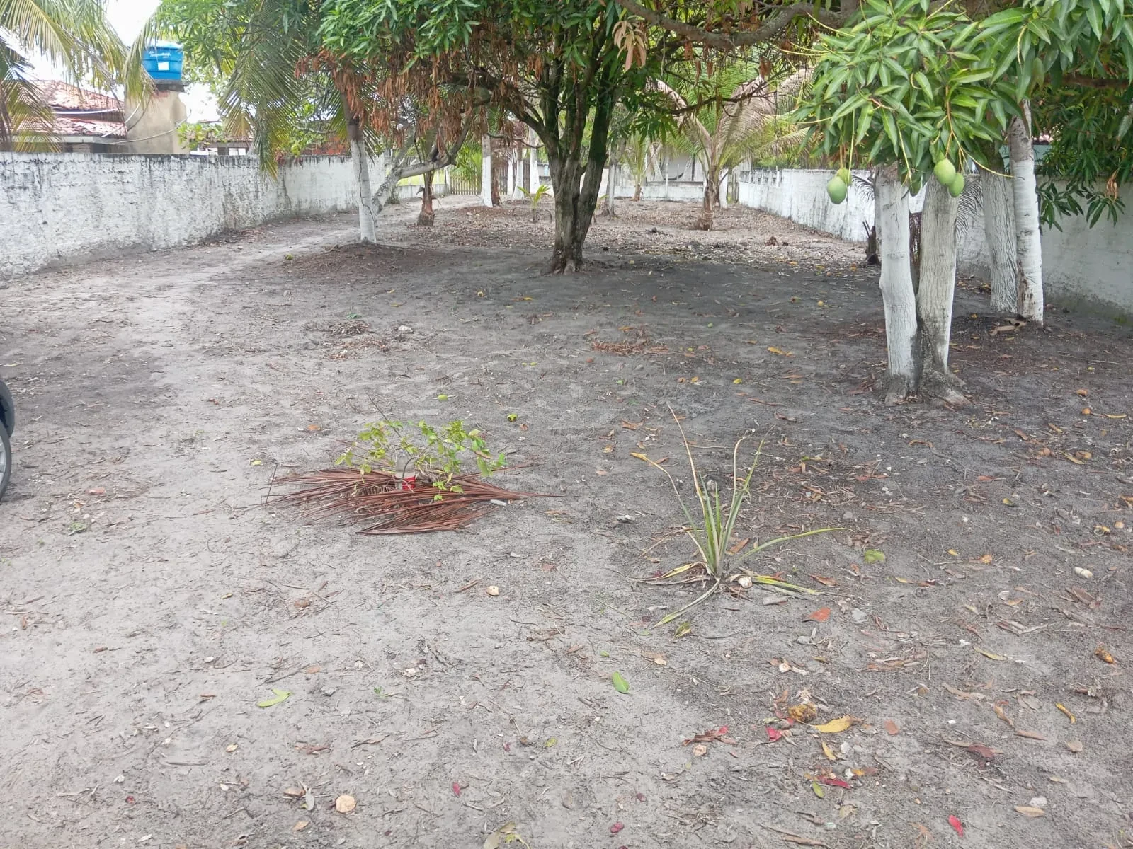 Imagem Casa com 3 Quartos à Venda, 1315 metros em Vera Cruz - Vera Cruz