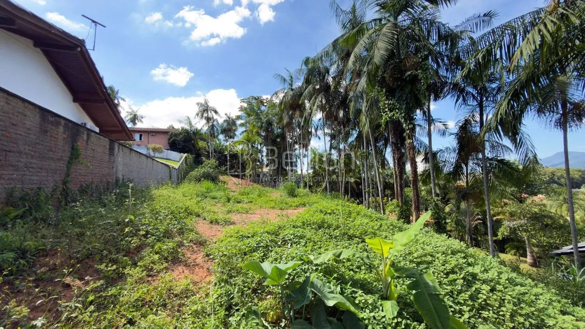 Imagem Terreno à venda no bairro Dos Estados em Timbó/SC