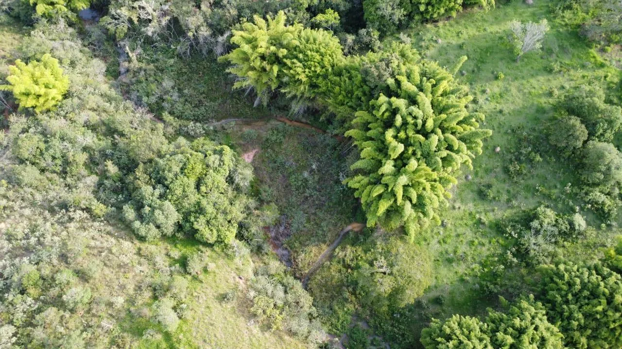 Imagem Excelente terreno rural à venda em Passa Tempo/MG 50 hectares de terra