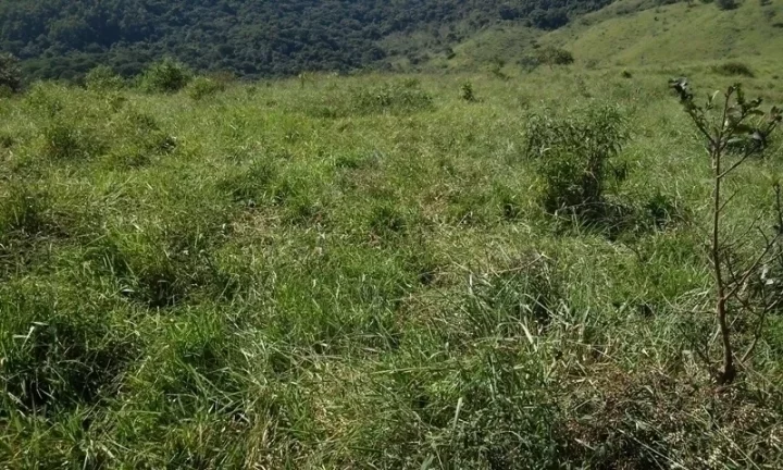 Imagem Linda Área para Loteamento em Piracaia 20 alqueires